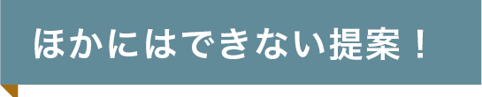 他にはできない提案